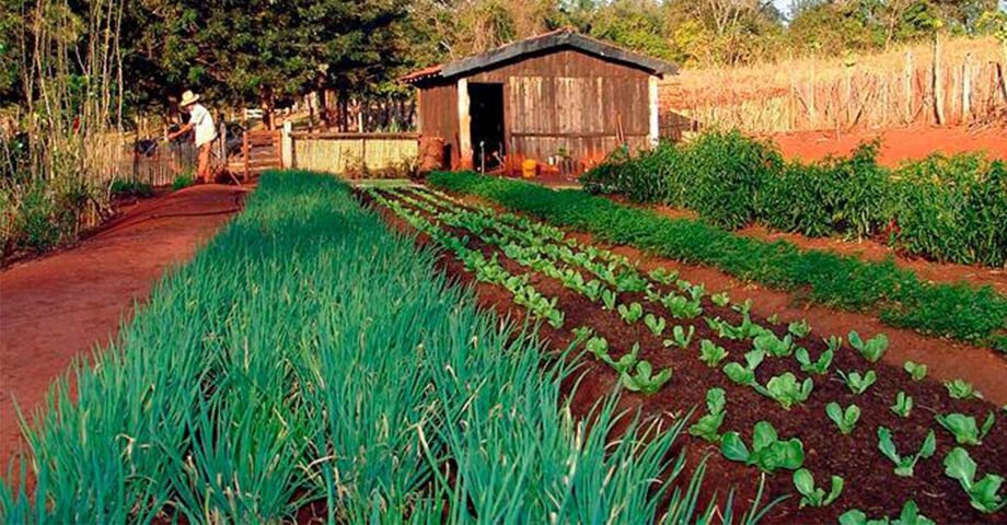 Os pequenos agricultores poderão vender para o governo do estado