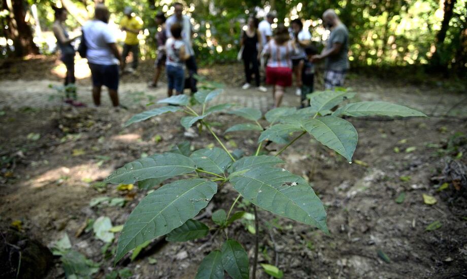 Multa para quem descumprir varia de R$ 500 a R$ 10 mil