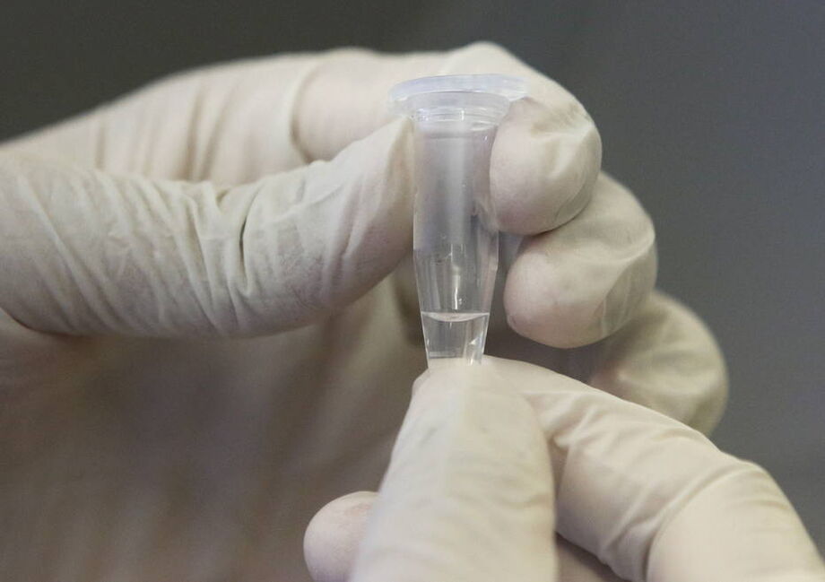 Os testes da candidata à vacina de Pfizer e BioNTech já estão em andamento.
