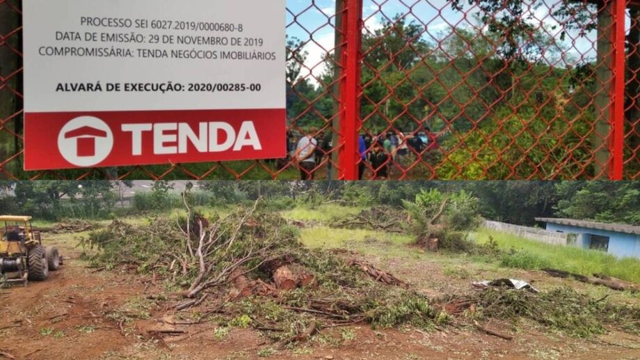 Construtora Tenda derruba milhares de árvores para construção de condomínio residencial de alto padrão, em São Paulo.