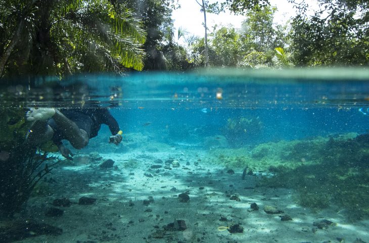 O selo tem como objetivo auxiliar o setor de turismo brasileiro a retomar as suas atividades o mais breve possível e a atender aos pré-requisitos do novo perfil de turista