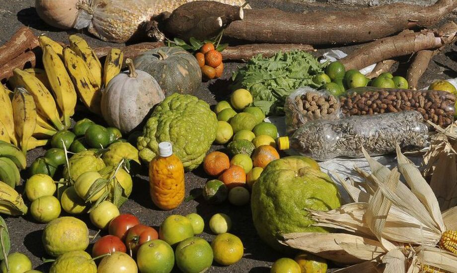 O CMN elevou os limites que agricultores familiares, empreendedores rurais familiares e cooperativas de agricultores familiares podem pegar emprestados no Pronaf