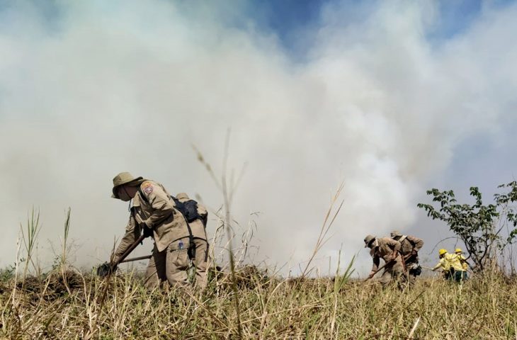 Bombeiros estão na linha de frente, combatendo os focos de calor que queimam a vegetação do Pantanal desde abril