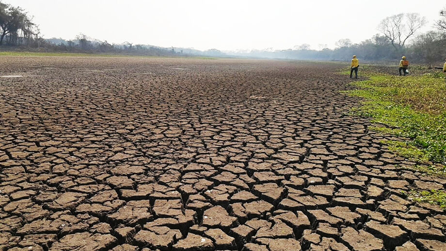 Com as queimadas, o Pantanal demonstra sinais do clima seco