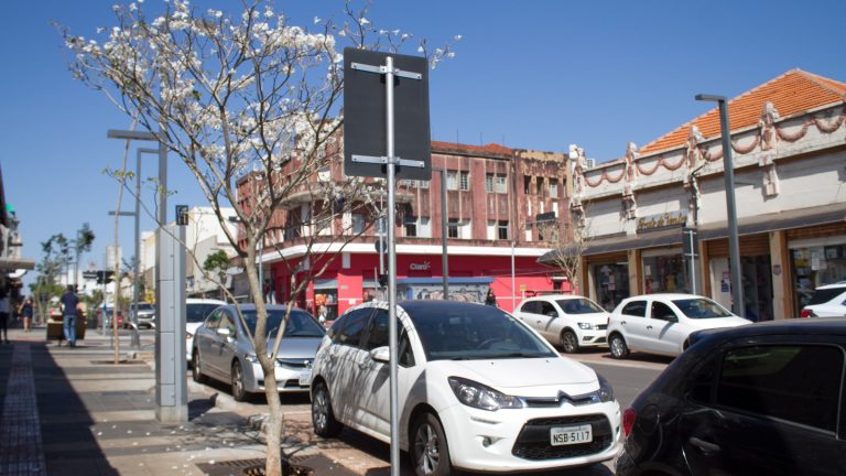 No cenário empoeirado e de tempo seco, uma pequena árvore com flores brancas se destaca na principal rua de comércio da cidade