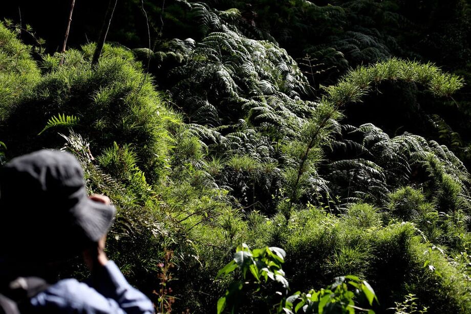 A Mata Atlântica é considerado o bioma mais degradado do País