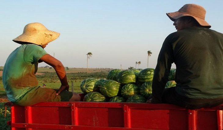 A agricultura familiar em MS vai ganhar reforço a com a entrega de caminhões caçamba para mais 10 municípios.