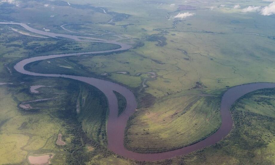 O Pantanal sul-mato-grossense, exemplo da biodiversidade brasileira