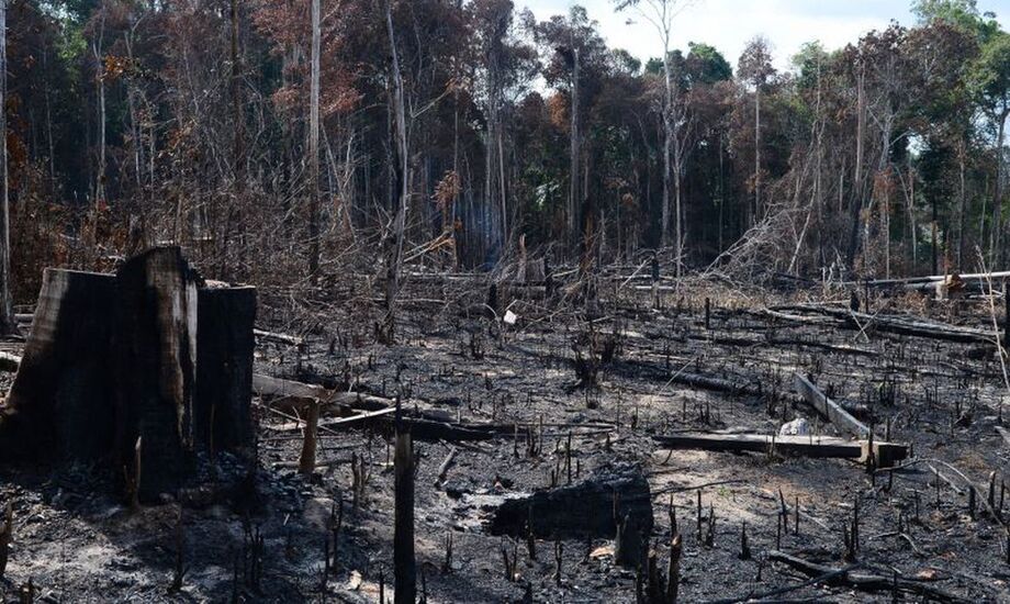 No período de agosto de 2018 a julho de 2019, o Prodes apontou que a Amazônia perdeu 10.129 km²