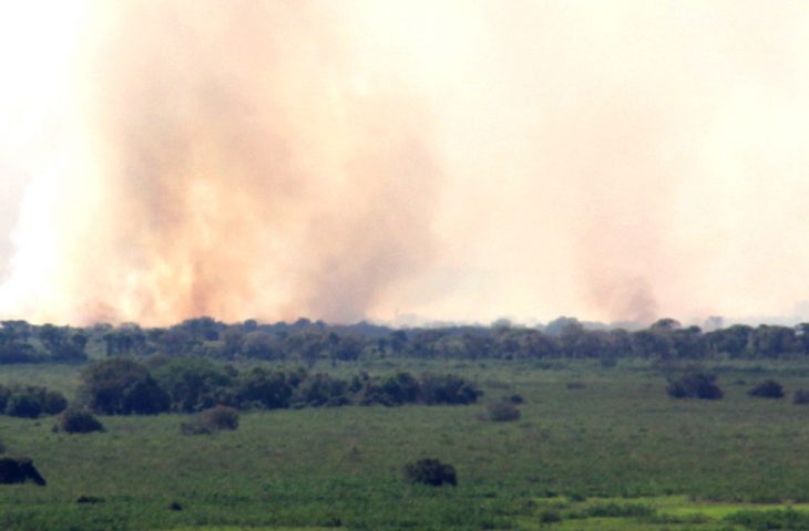 Fogo no Pnatanal