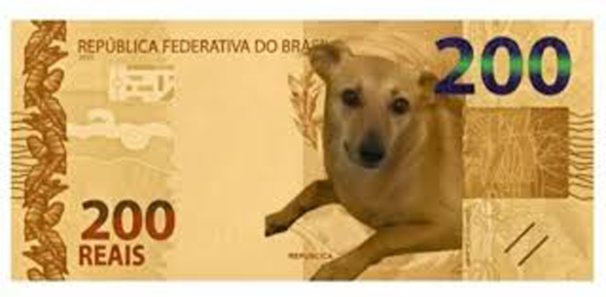 Ideia do vira-lata caramelo ser o 'rosto' de nova cédula de R$ 200 fez sucesso na internet
