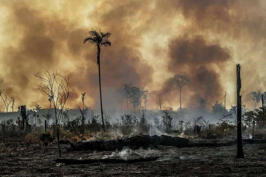Grupo empresarial que defende Amazônia deve se reunir com Dias Toffoli (STF)