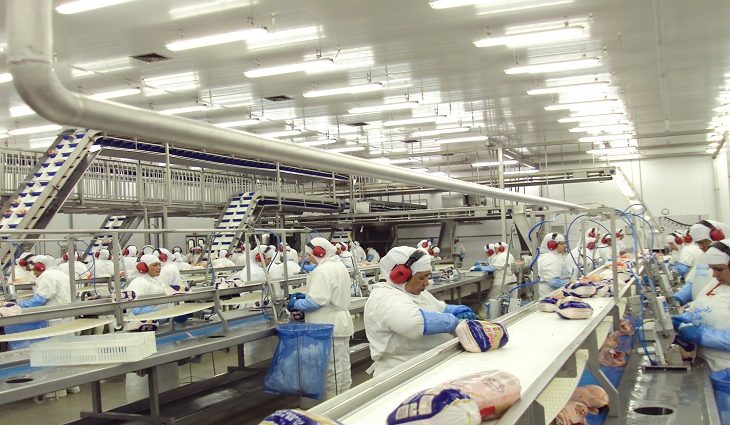As exportações de soja foram o principal destaque de janeiro a julho de 2020, com alta de 55,08%.