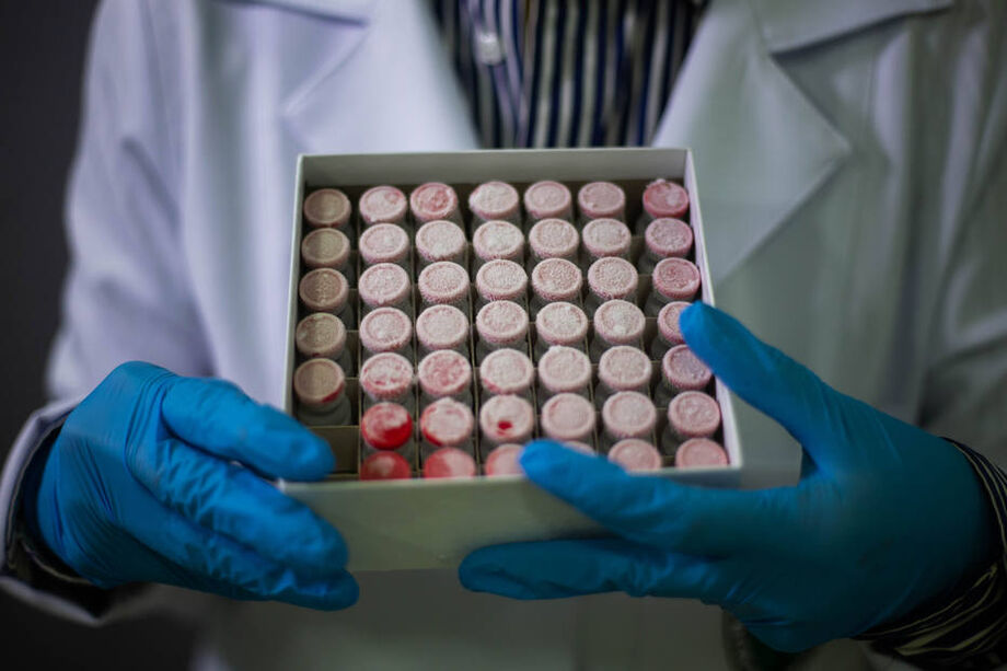 Entre cientistas, mais desconfiança que otimismo