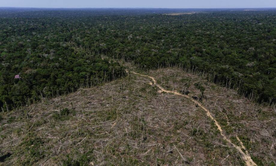 A Amazônia