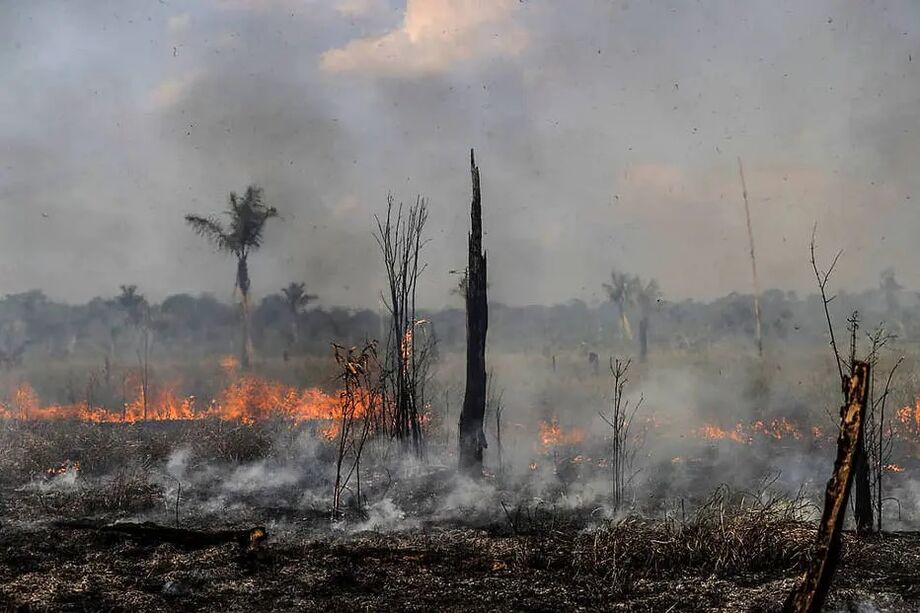Governo vai repassar recursos recuperados da Lava Jato para ações da Defesa na Amazônia; R$ 630 milhões devem ser usados para financiar ações de fiscalização e combate aos incêndios florestais