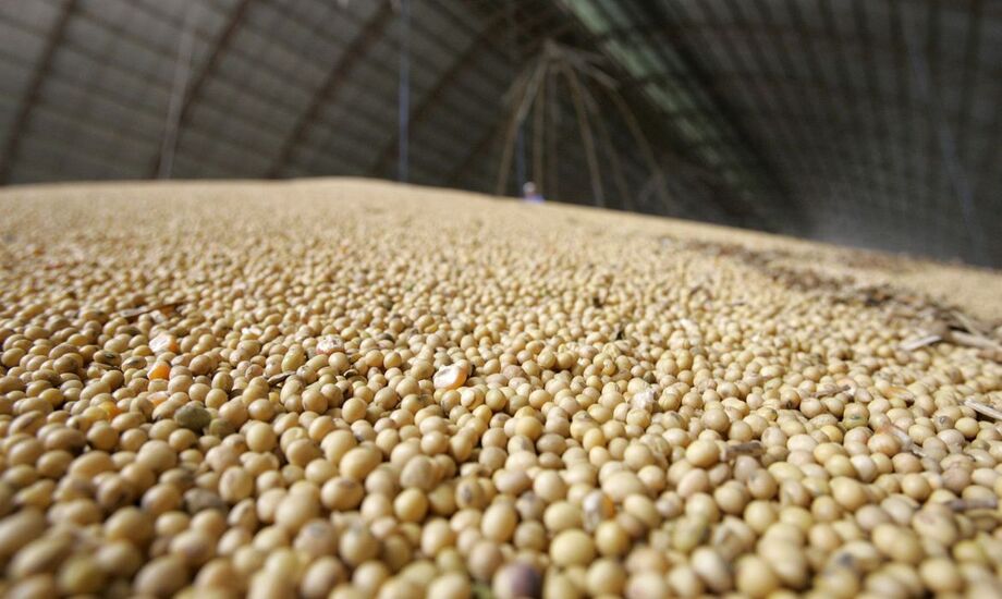 Levantamento de Grãos realizado pela Conab aponta que Mato Grosso do Sul é o quinto maior produtor de grãos do país