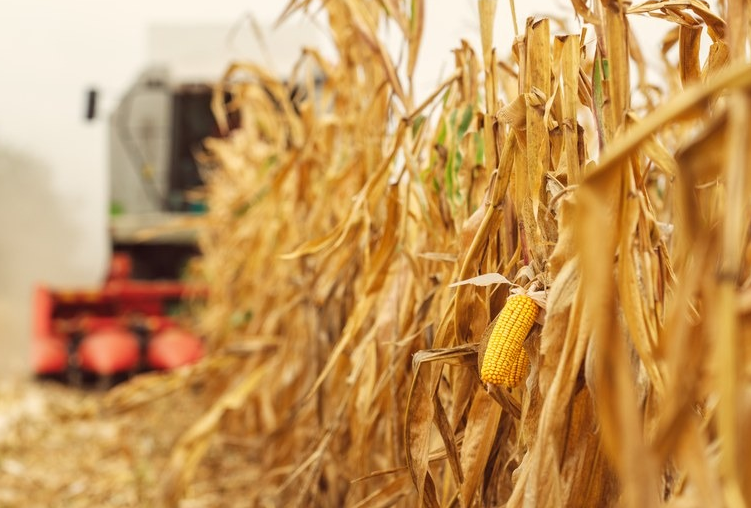Ministério da Agricultura e o Ministério da Justiça assinaram no ano passado um termo de cooperação para a criação de uma plataforma para o combate à venda casada e proteção ao produtor.