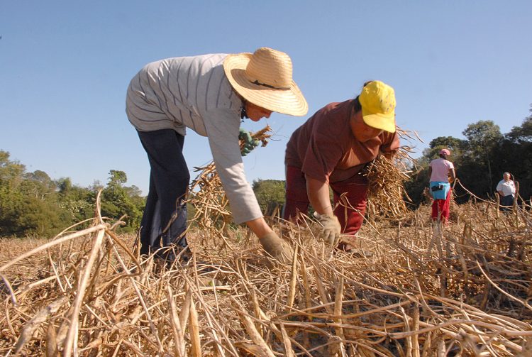O carrego estatístico para a indústria no ano é de queda de 0,7%.