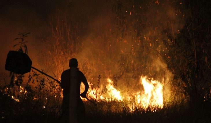Terreno em chamas