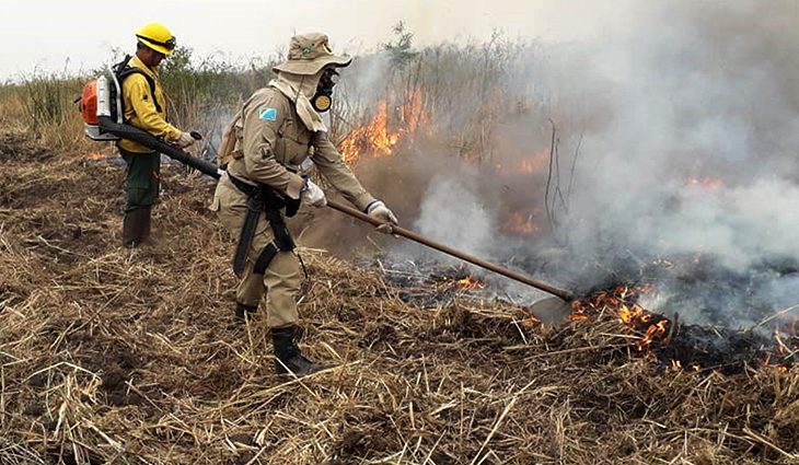 Corpo de Bombeiro no combate as queimadas