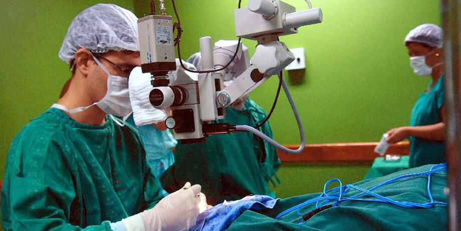 O número de dadores de órgãos e tecidos em Mato Grosso do Sul, este ano, foram superiores aos do ano passado, sendo 69 órgãos captados, 27 doadores de órgãos e 94 de córneas