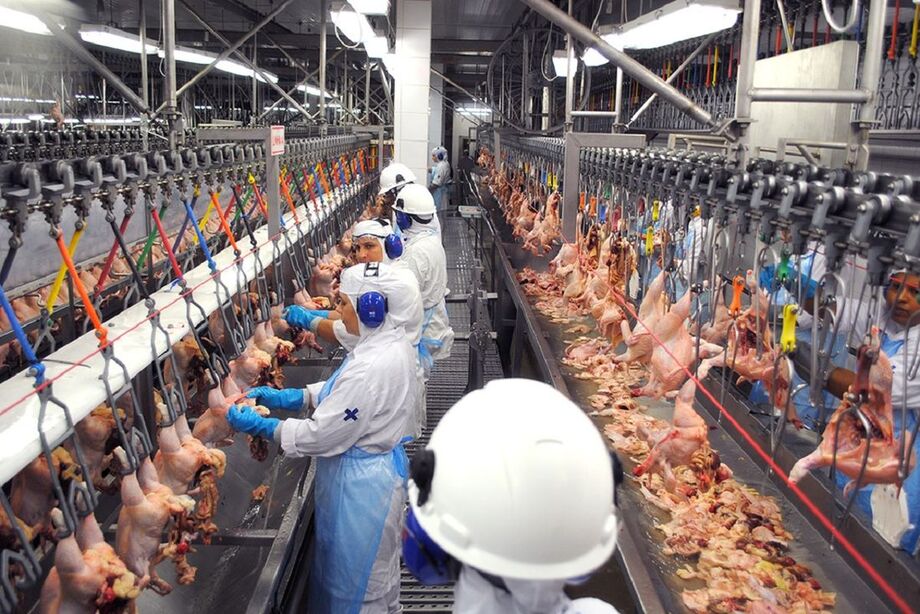 Segundo o governo filipino, a medida foi tomada por precaução e todo o frango importado pelo país é segura para o consumo.