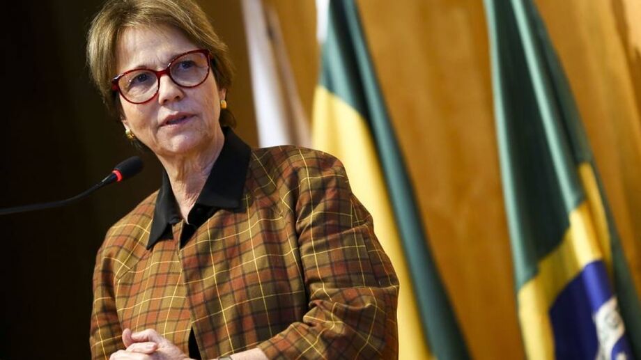 A ministra da Agricultura, Tereza Cristina