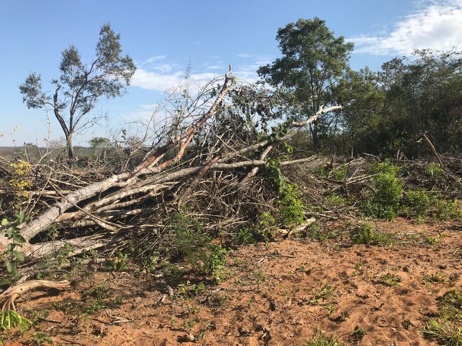 O proprietário de uma fazenda em Camapuã, a 144 km de Campo Grande, foi autuado pela Polícia Militar Ambiental por um desmatamento sem a licença ambiental