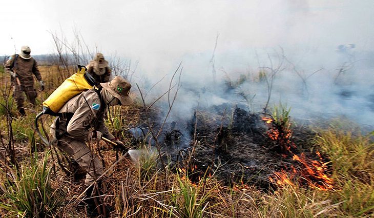 Meio Ambiente, Desenvolvimento Econômico, Produção e Agricultura Familiar), Jaime Verruck, fez um balanço da Operação Pantanal, e falou das ações em prol do combate na região.