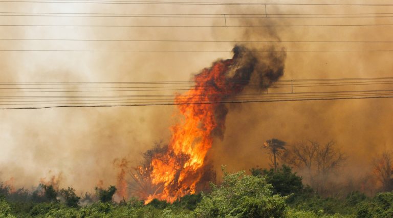 De janeiro a julho deste ano o Corpo de Bombeiros Militar de Mato Grosso do Sul atendeu 1.655 ocorrências de focos de incêndio só na Capital, um aumento de 64% em relação aos anos anteriores