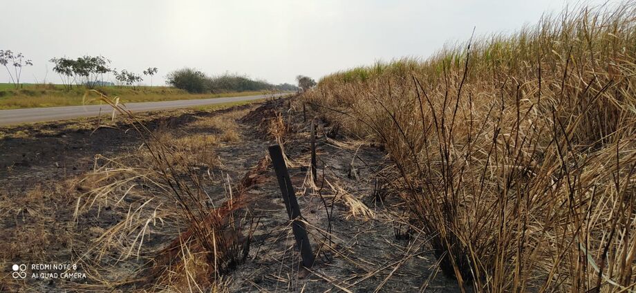 O proprietário da cana-de-açúcar planta a lavoura em suas terras e executa a venda para usinas na região