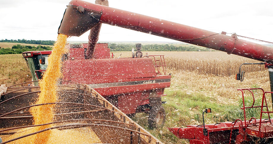 Mato Grosso do Sul é explicado em parte pela agroindústria, em especial a de papel e celulose.