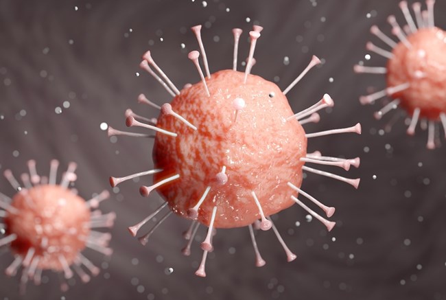 A reinfecção é uma situação ainda em estudo, tem raros relatos na literatura médica e contraria a hipótese de que cada pessoa só se contamina uma vez pelo coronavírus.