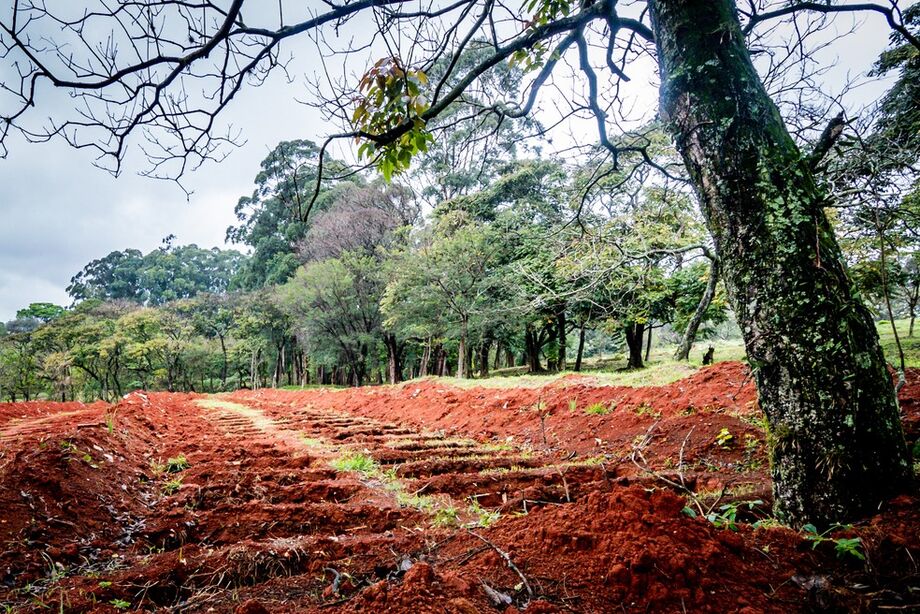 Cemitério da Vila Formosa, na zona leste da capital paulista