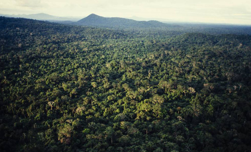 Vista aérea da Amazônia, no norte do Brasil