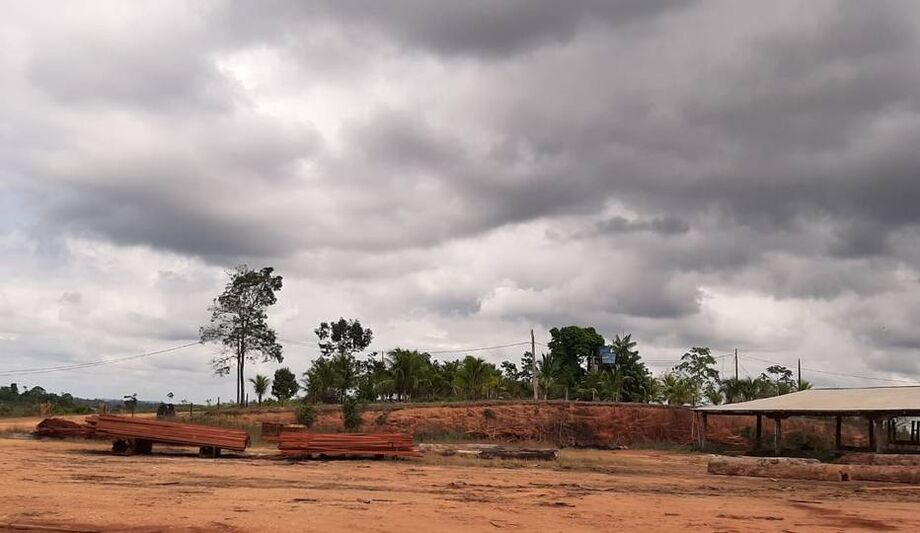 Segundo o governo do Pará, as equipes encontraram madeireiras clandestinas em áreas fechadas e de difícil acesso dentro da floresta.