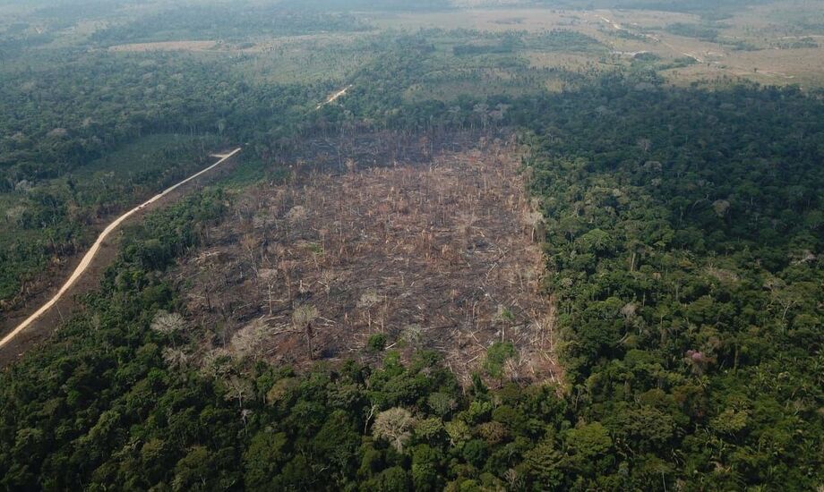 O número de alertas de desmatamento na Amazônia em 2020 foi 34% maior do que em 2019