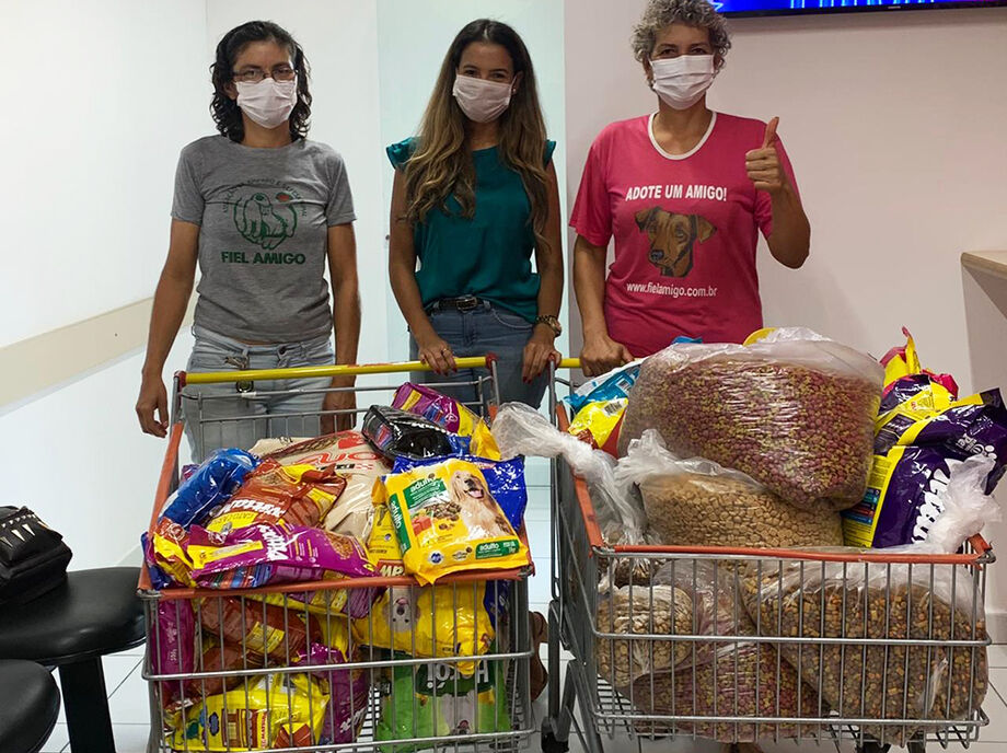 Atualmente, a ONG atende mais de 230 animais entre cães e gatos que foram abandonados