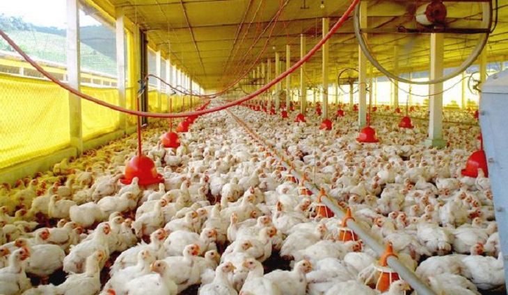 Esse foi o resultado final da 9ª reunião ordinária do CEIF/FCO, realizada na manhã desta quarta-feira (2), na Semagro (Secretaria de Meio Ambiente, Desenvolvimento Econômico, Produção e Agricultura Familiar)