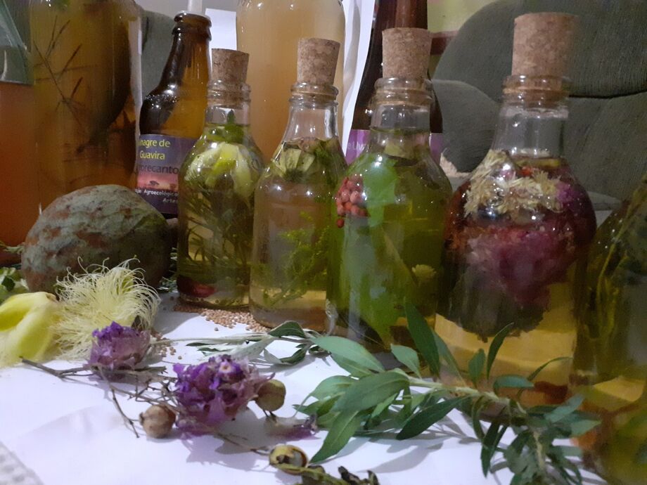 Parte da pesquisa do doutorado de Viviane contribuiu para compreensão do comportamento dos processos fermentativos que usam para criar os produtos que foram selecionados no programa Centelha