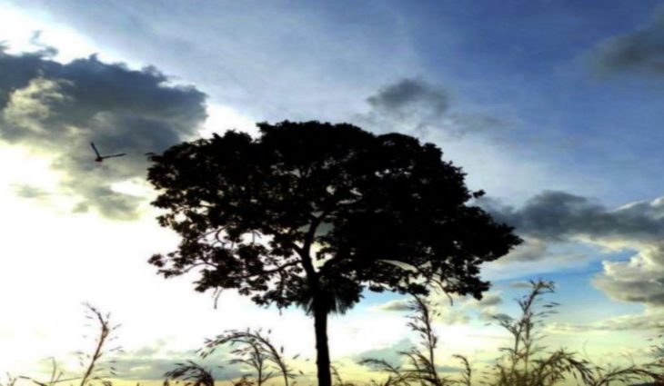 As temperaturas neste dia podem variar entre 17°C a 35°C