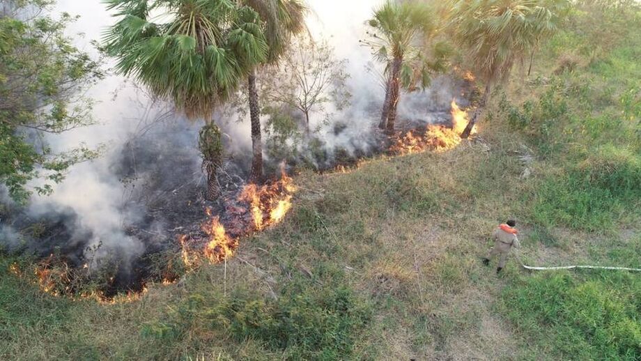 O Pantanal está em chamas há muito tempo e sabemos dos danos que podem causar para o bioma