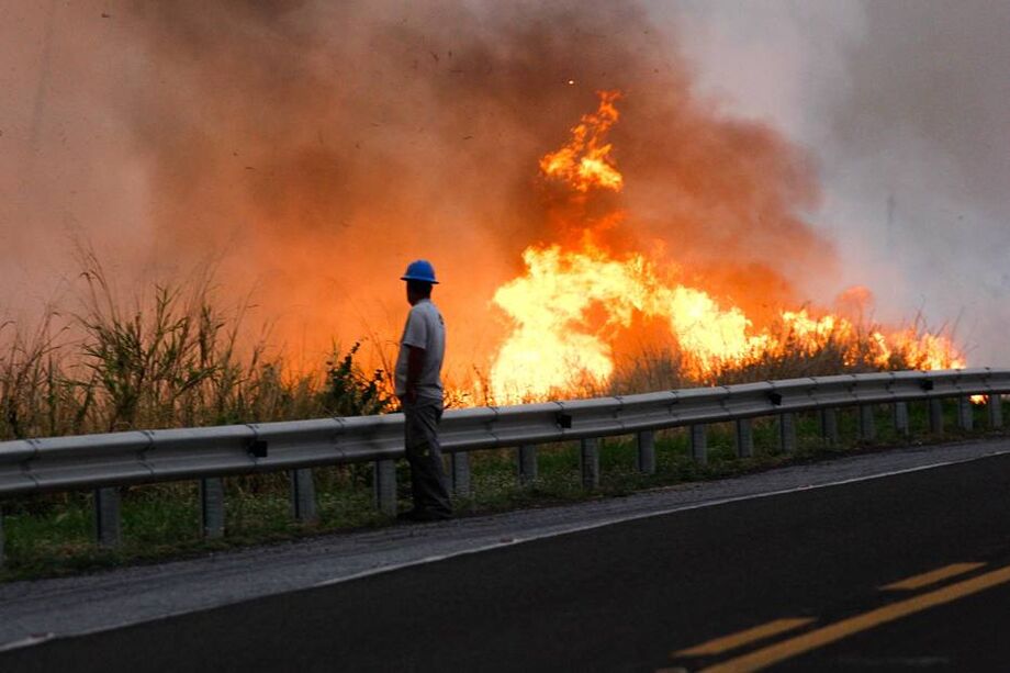 Neste ano, satélites do INPE já identificaram 10.153 focos de incêndio no Pantanal