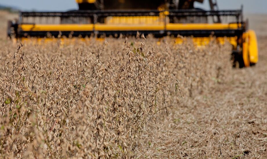 A elevação da temperatura, aliada à baixa umidade e ausência de chuvas, fez acelerar a colheita do milho nas regiões em que a cultura foi plantada mais tarde e ainda não havia sido retirada