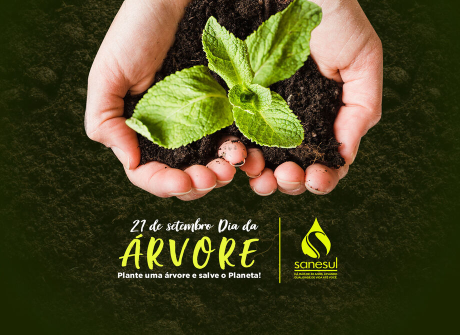 Em comemoração ao Dia da Árvore (21/09), a Empresa de Saneamento do Mato Grosso do Sul (Sanesul) está preparando uma campanha para doação de 10.000 mudas de árvores nativas