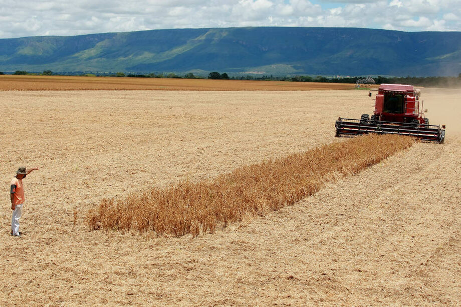 Produção de grãos na safra 2019/20 deve ser recorde de 257,8 milhões de t