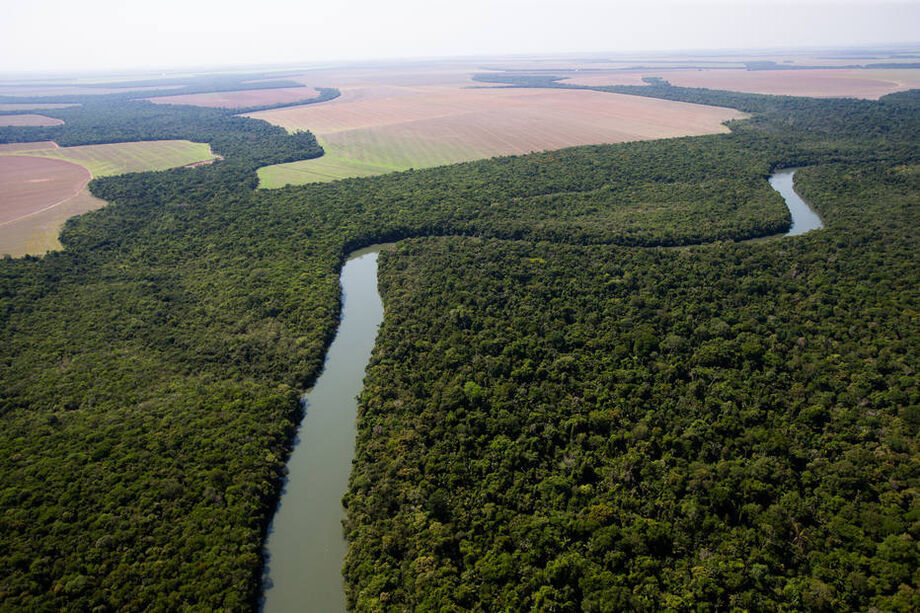 O ministro do meio ambiente, Ricardo Salles, respondeu o ator Leonardo DiCaprio no Twitter, nesta quinta-feira, 10, questionando se ele apoiaria a preservação da Amazônia