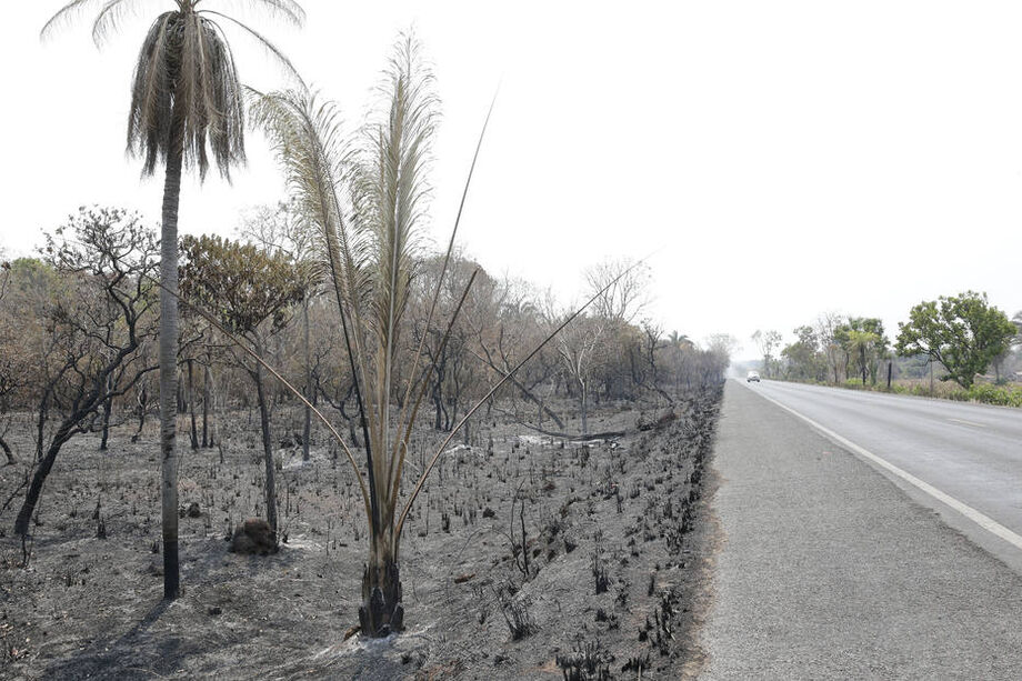 Focos de incêndio no Pantanal Matogrossense