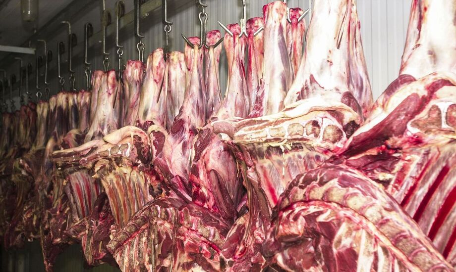 As exportações de carne bovina in natura e processada avançaram 19,4% em agosto deste ano na comparação com o mesmo mês de 2019